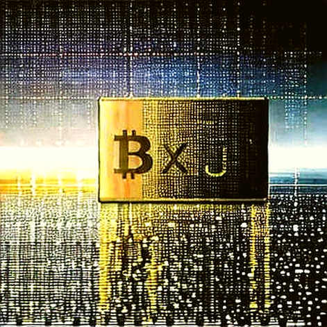French Tax Data Leak: The Untold Attack Vector on Bitcoin Holders French Tax Data Leak: The Untold Attack Vector on Bitcoin Holders
