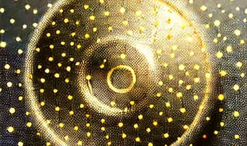 The Information Void: How Shallow Parsing Is Quietly Sinking the Next Wave of Crypto Investors The Information Void: How Shallow Parsing Is Quietly Sinking the Next Wave of Crypto Investors