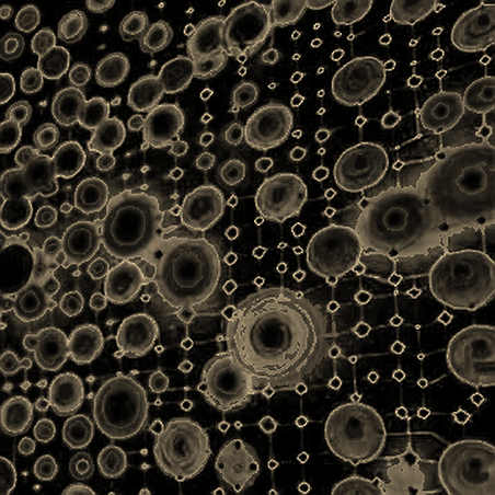 Polymarket's 65% Probability: A Cold Dissection of the Prediction Market's Truth Machine Polymarket's 65% Probability: A Cold Dissection of the Prediction Market's Truth Machine